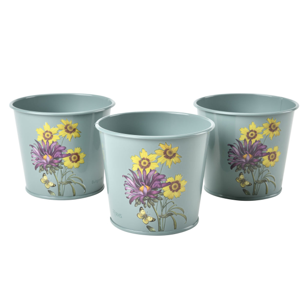 Burgon & Ball - Asteraceae - Herb Pots