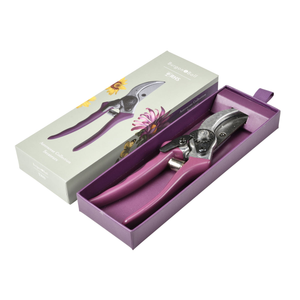 Burgon & Ball - Asteraceae - Secateur in Gift Box
