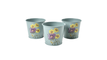 Burgon & Ball - Asteraceae - Herb Pots