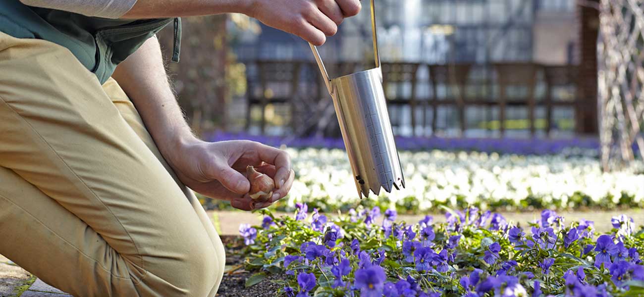 3 Easy Garden Renovation Ideas to Spruce Up Your Garden