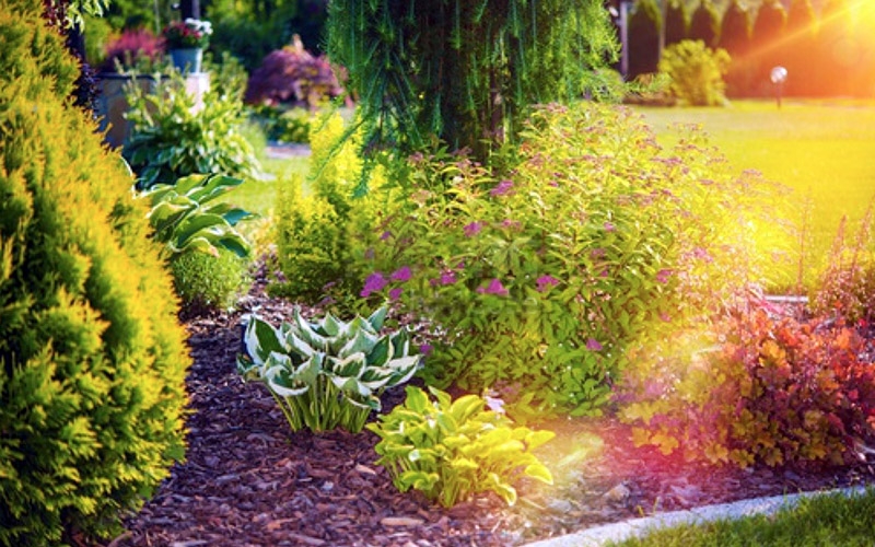 Spring is coming!! Time to get your garden back in to shape
