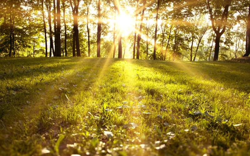 Mini Heatwave for Bank Holiday weekend